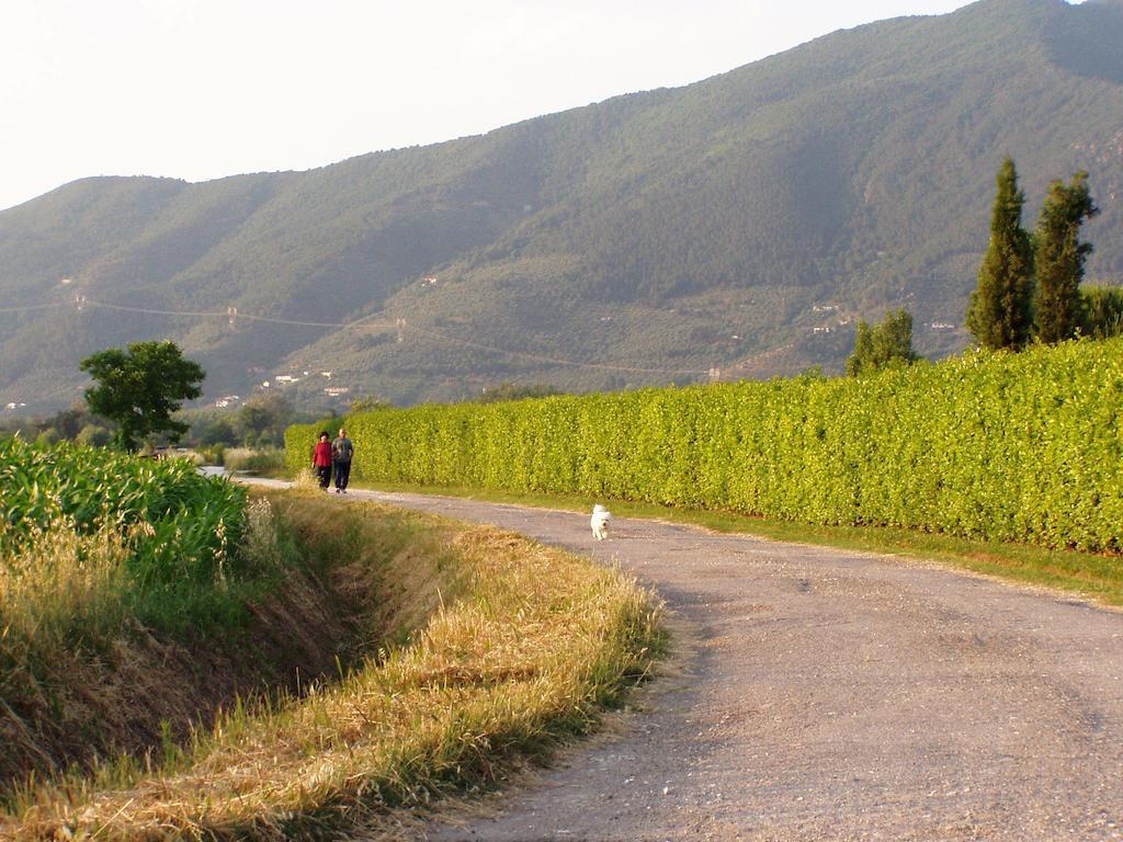Agriturismo La Pisana ธรรมชาติ รูปภาพ